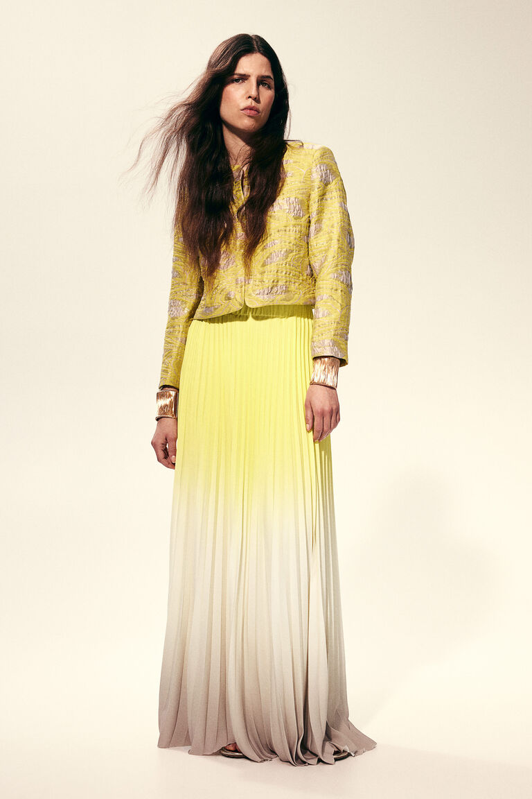 Long pleated skirt