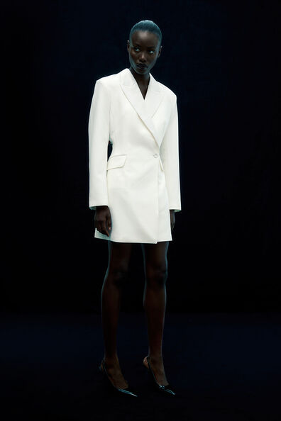 Fitted blazer dress