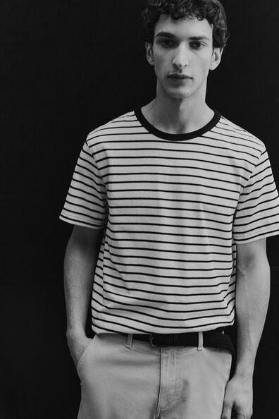 Regular Fit Chino shorts