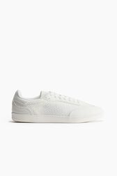 Trainers