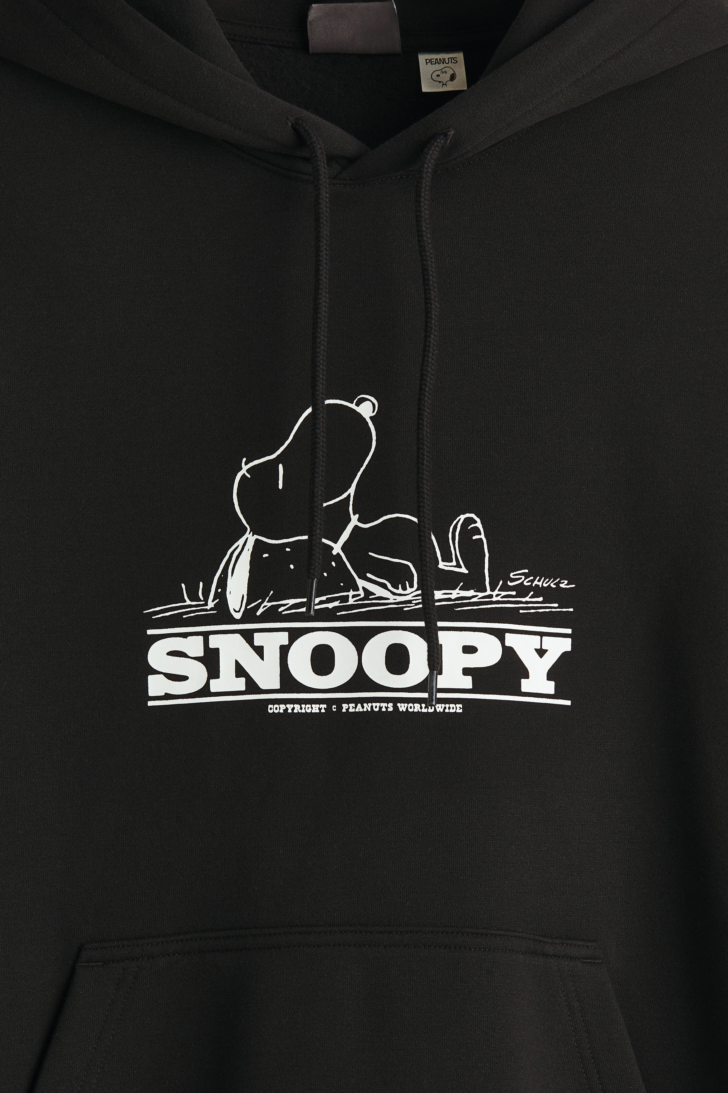 Regular Fit Hoodie